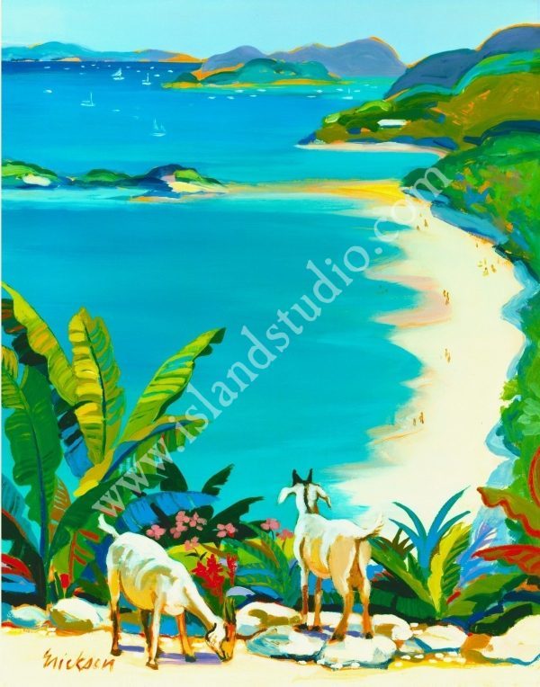 36 Blue Bay View Seascape Painting By Shari Erickson