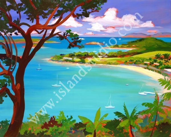 327 Caneel Landscape Painting By Shari Erickson